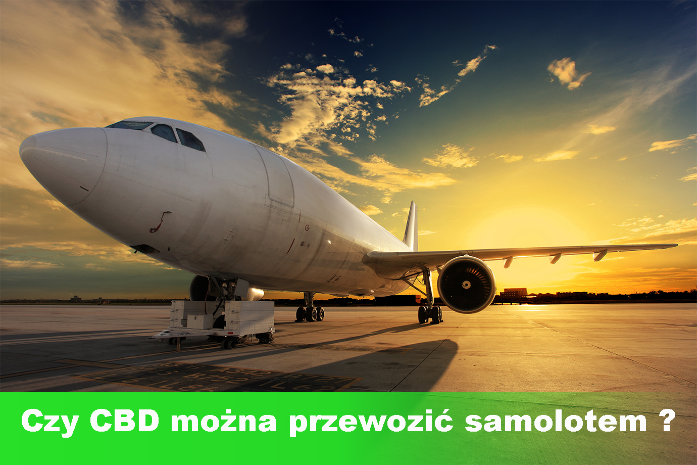 Czy wiesz, że przewożenie produktów CBD samolotem może skończyć się kłopotami? Jak uniknąć problemów na lotnisku!